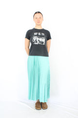 Zara - Peppermint Plisse Skirt