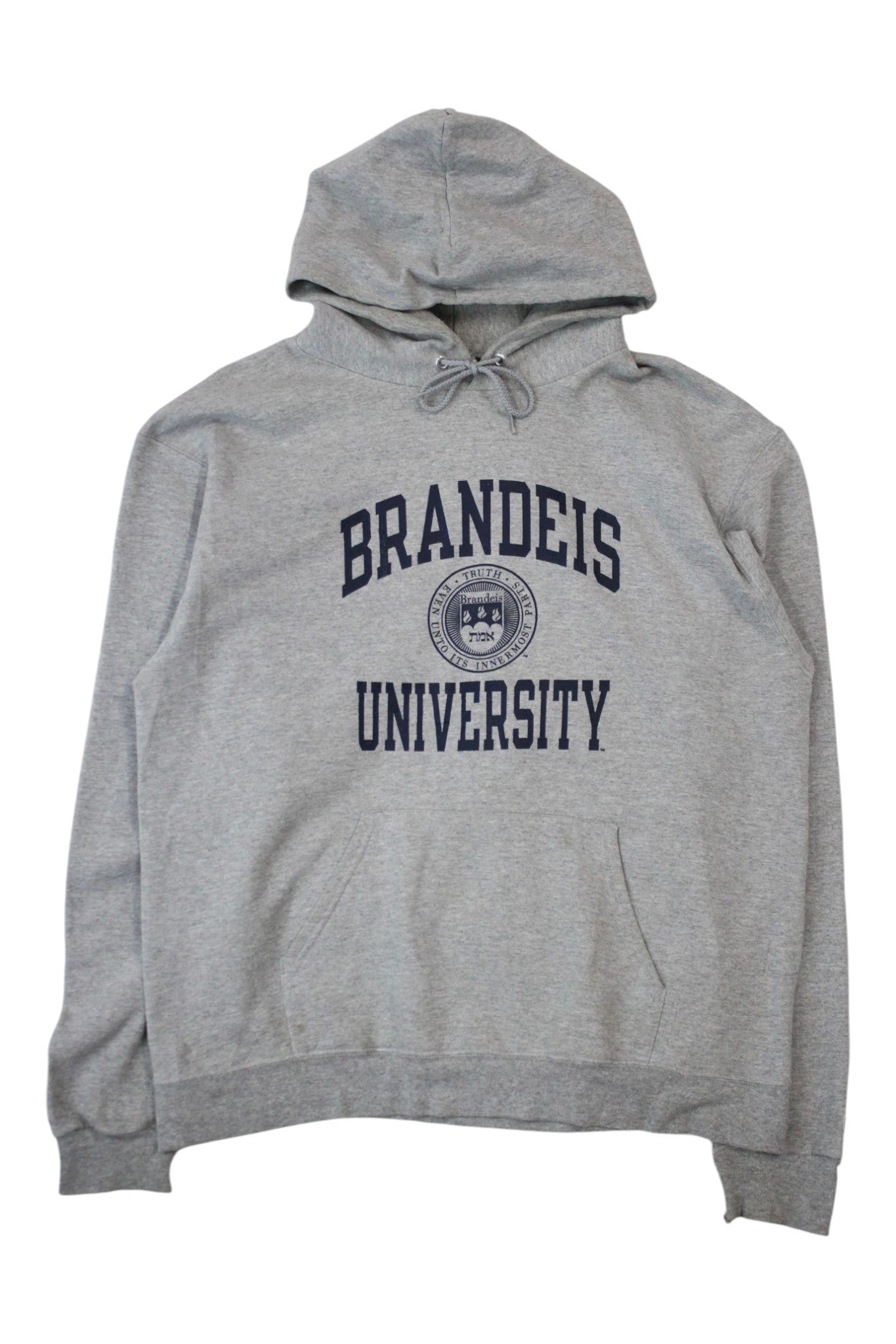 Champion Eco - Brandeis University Hoodie