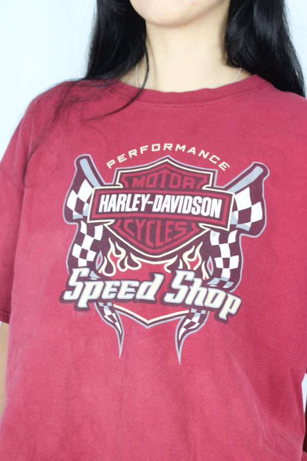 Harley Davidson - Beartooth Pass Tee