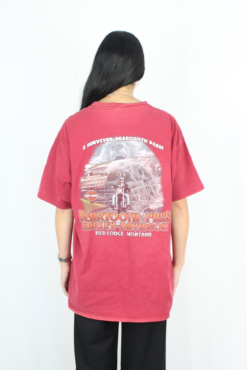 Harley Davidson - Beartooth Pass Tee