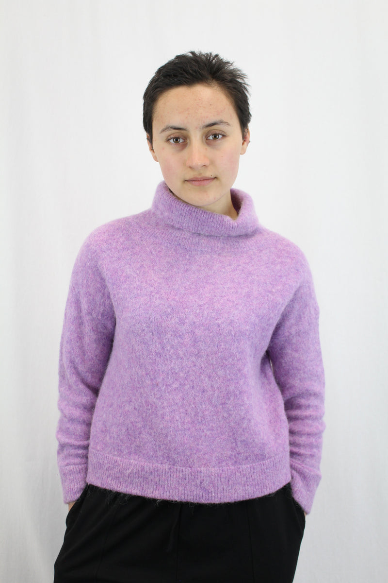 Ruby - Alpaca Jumper