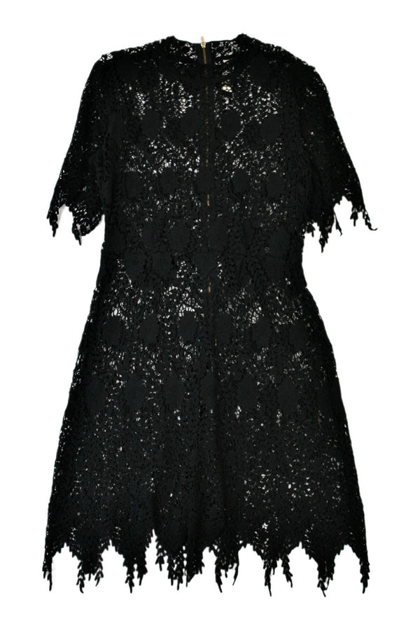 Sylvester - Lace Mini Dress