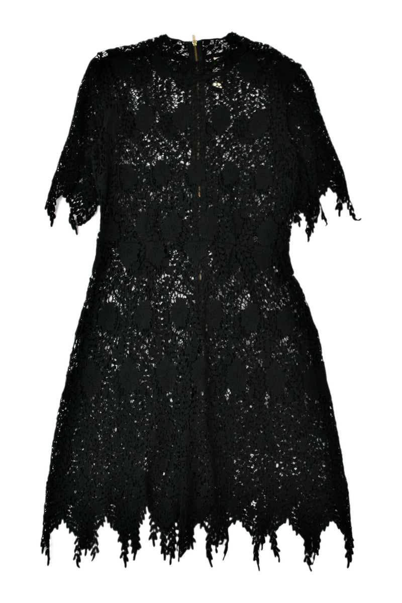 Sylvester - Lace Mini Dress