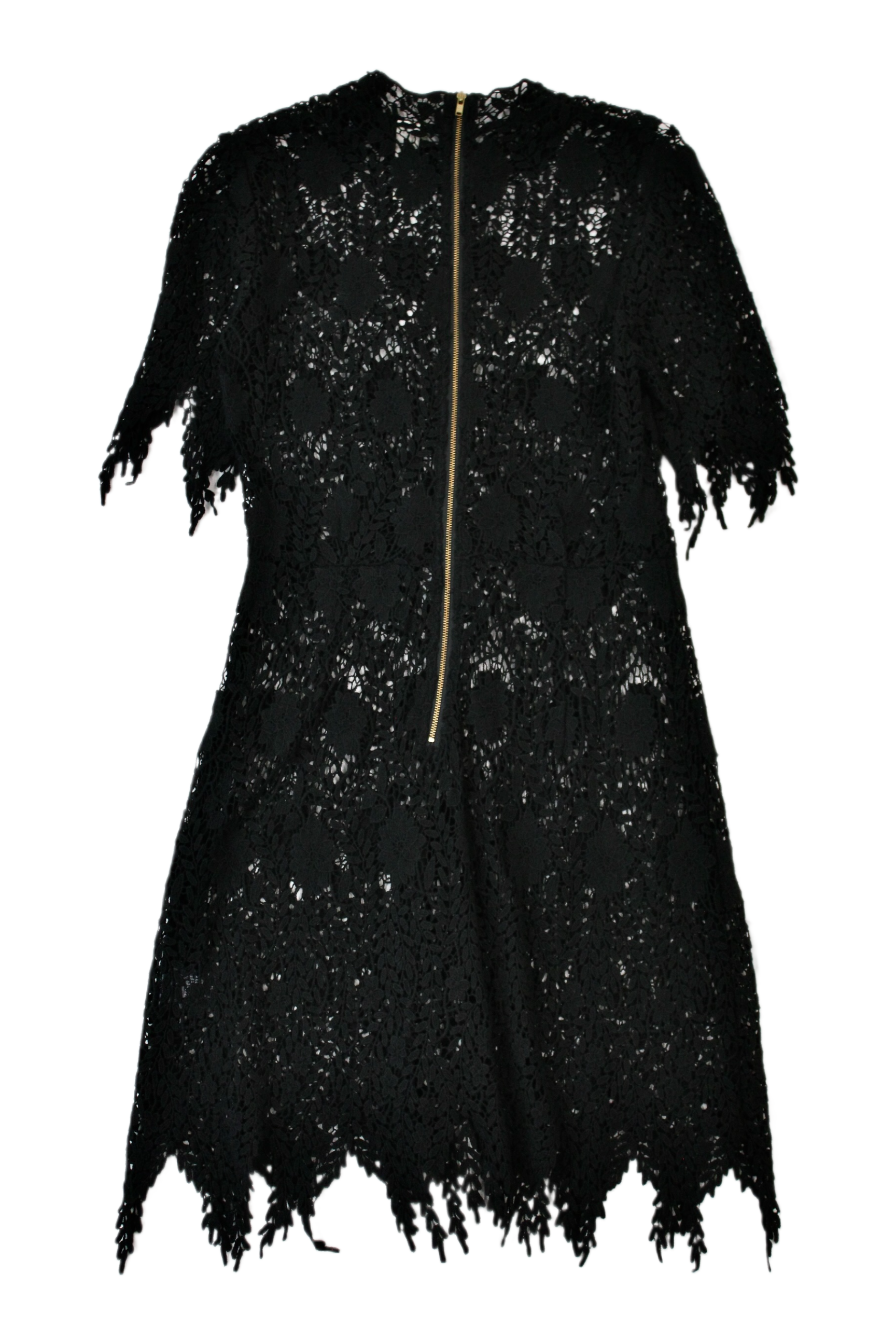 Sylvester - Lace Mini Dress