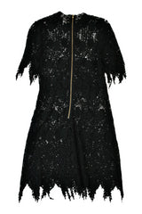 Sylvester - Lace Mini Dress