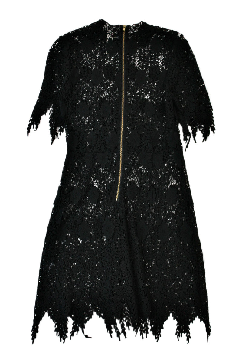 Sylvester - Lace Mini Dress