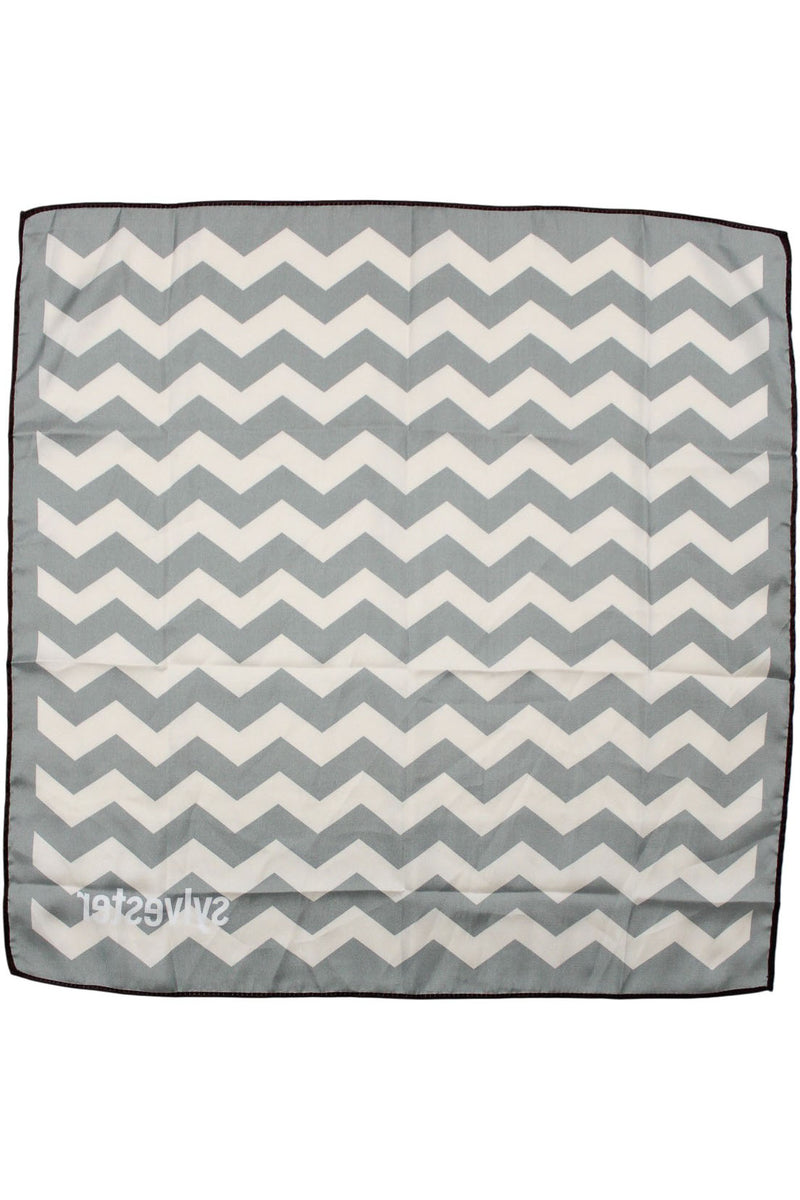 Sylvester - Satin Ascot Tie