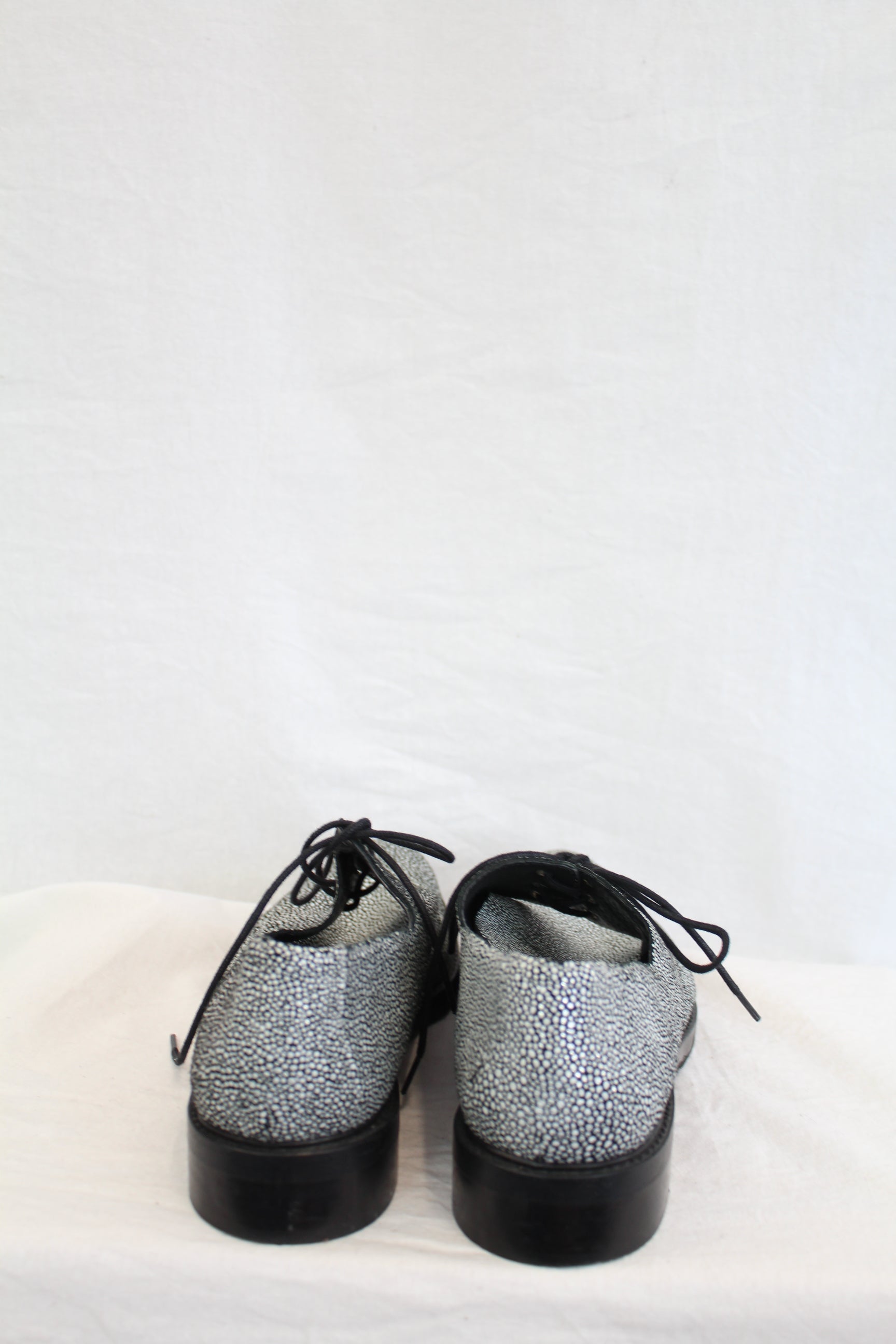 Miista - Stingray Oxford Lace Up