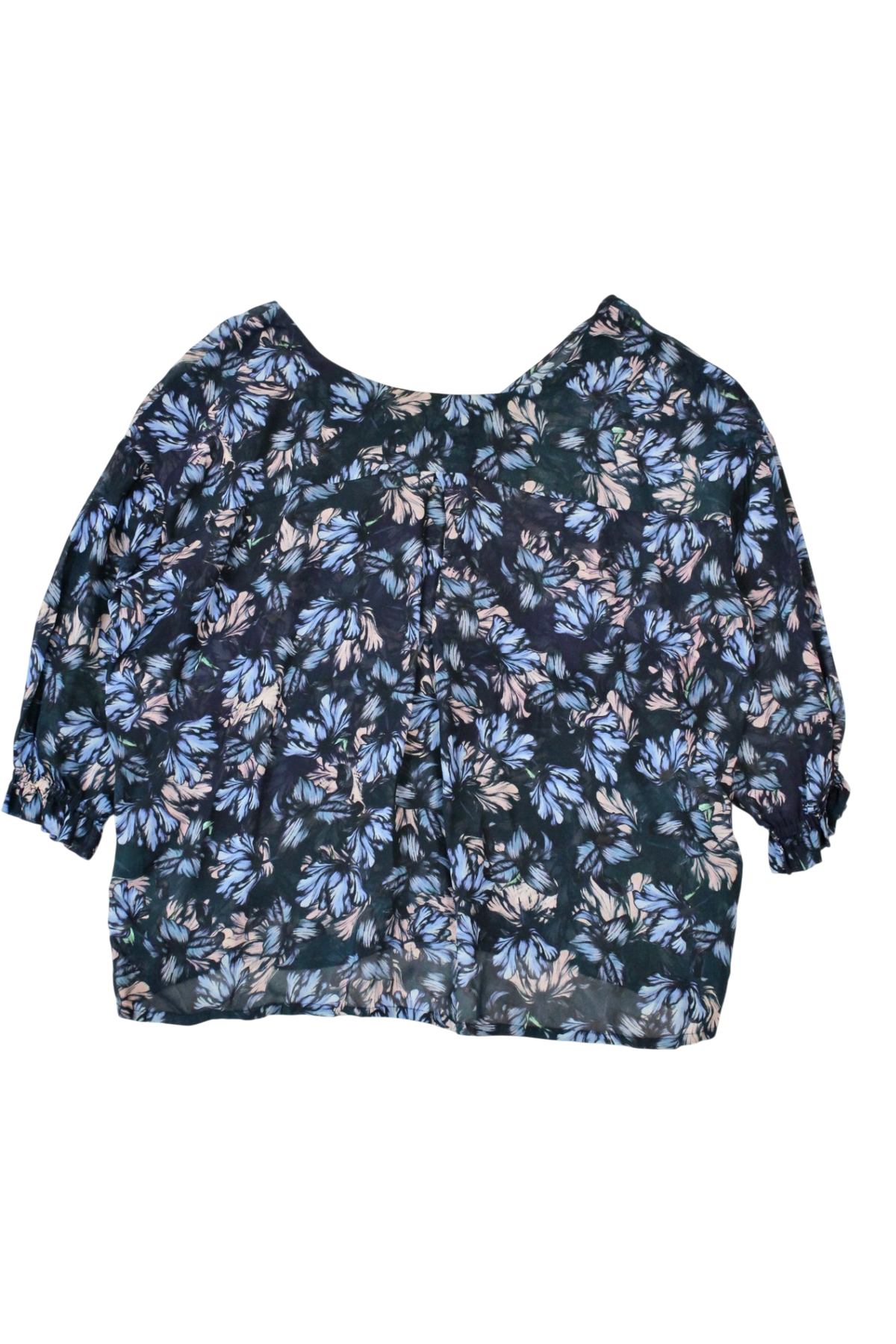 Scanlan & Theodore - Floral Chiffon Top