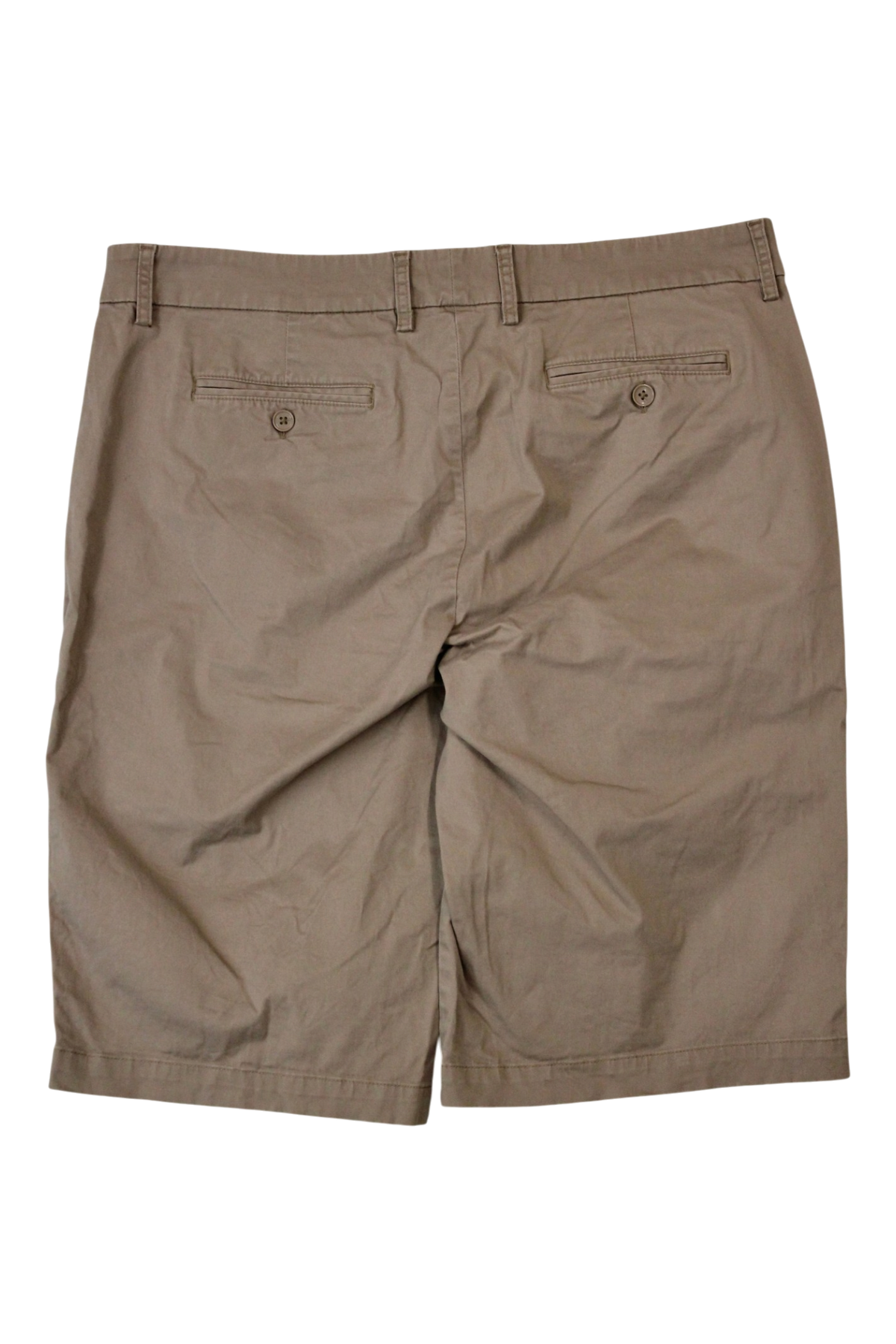 Sportscraft - Chino Shorts